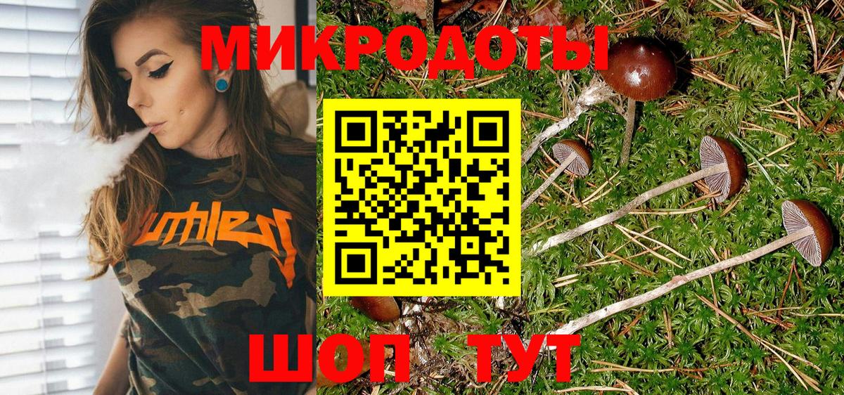 Псилоцибиновые грибы Psilocybe Сергиев Посад