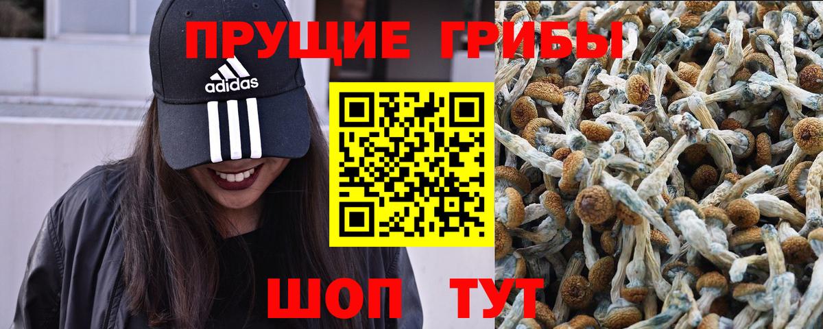 Галлюциногенные грибы прущие грибы  купить наркотики сайты  Сергиев Посад  Вход с VPN 